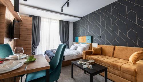 Studio with Sofa Bed