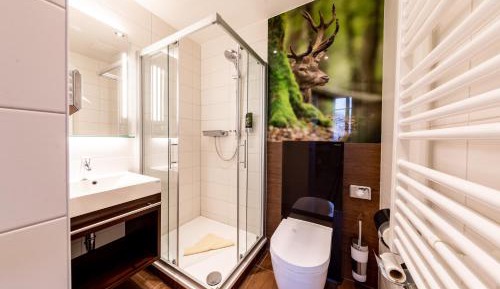Comfort Single Room