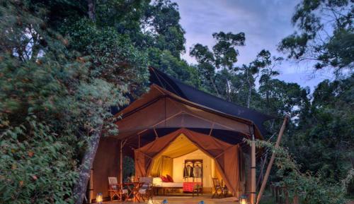  Safari Tent