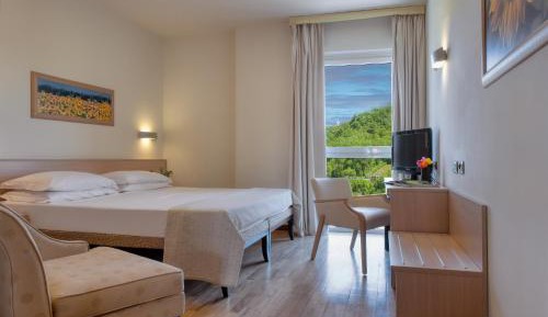 Double or Twin Room with Panoramic View
