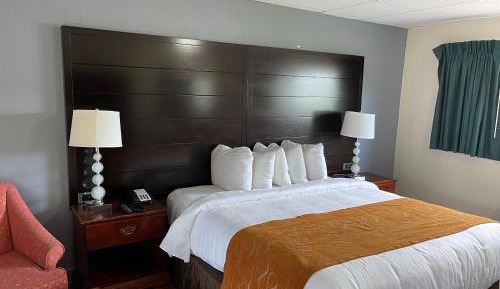 Large Single Room