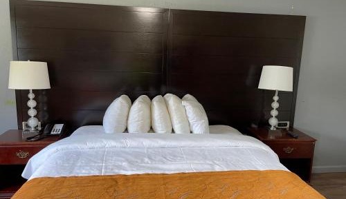 Large Single Room