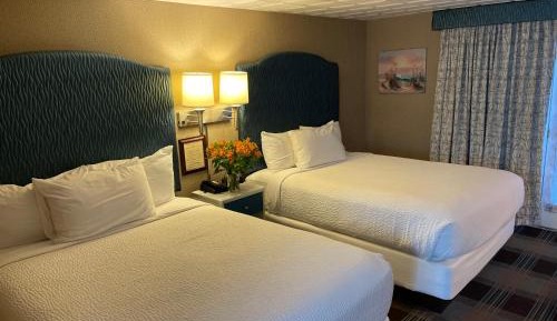 Premium Queen Room