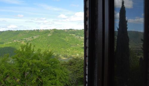 Junior Suite with Garden View