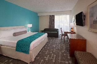 Queen Room with Two Queen Beds - Pet Friendly/Non-Smoking
