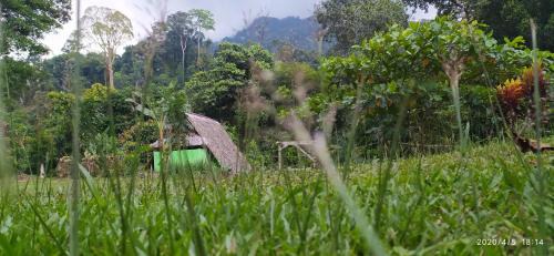 Triple Room with Mountain View