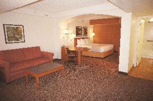 King Room with Roll-In Shower - Mobility/Hearing Accessible - Non-Smoking