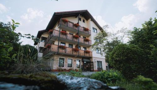 Single Room - Guest House