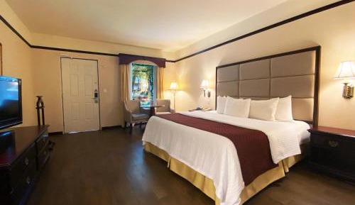 Garden King Room