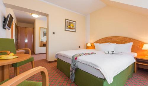 Superior Queen Room