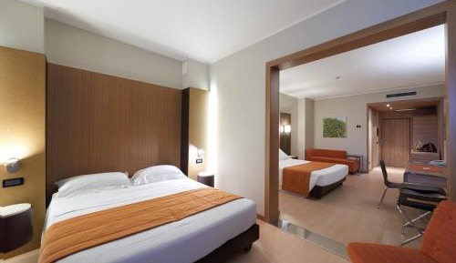 King Size Double Room Single Use