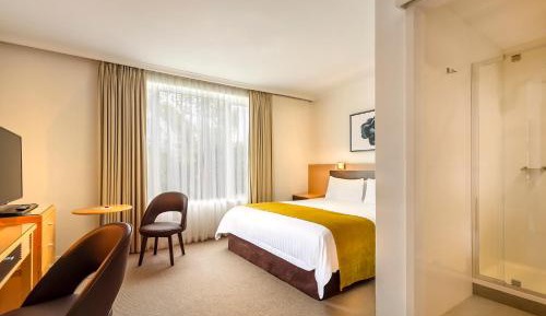 Executive Double or Twin Room