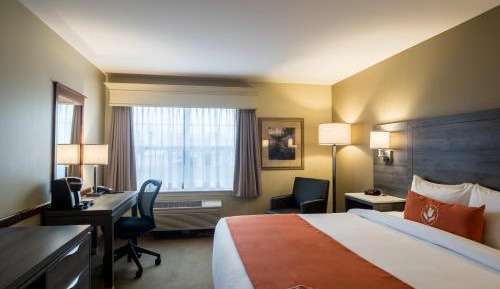 Deluxe King Room