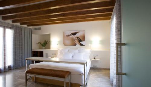Luxury Suite with Terrace