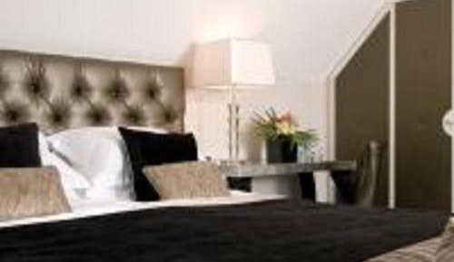 Crash Pad (Dog Friendly)