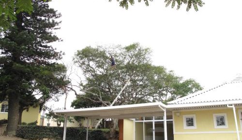 Three-Bedroom Apartment with Sofa Bed (8 Adults)