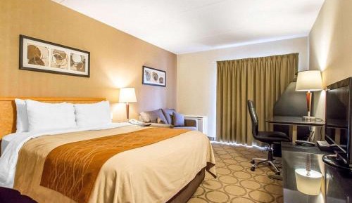Business Queen Room - Upper Floor/Non-Smoking