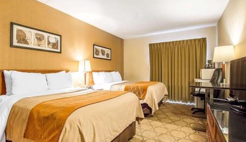 Standard Double Room with Two Double Beds - Ground Floor/Non-Smoking