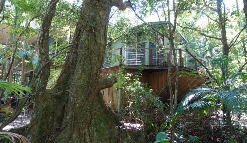 Dreamtime Rainforest Cottage