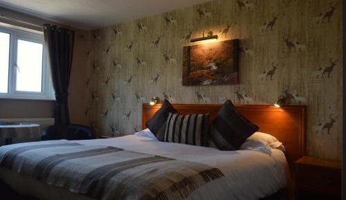 Deluxe Double or Twin Room with Garden View