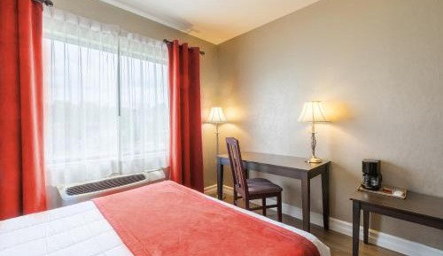 Economy Queen Room
