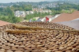 Bandung House | Rumasenja guest suite