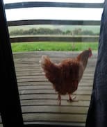 Princetown Cabin | 12 Apostles Cottages- Tullarook