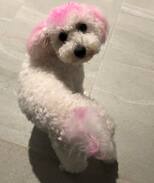 Pimpama House | Comfortable and Friendly Accommodation in Pimpama