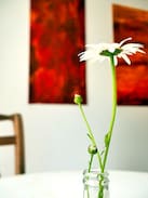 Wienhausen Apartment | Helle Souterrain-Wohnung in Wienhausen (bei Celle)