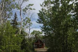 Babb Cabin | Quaking Aspen Hide Away
