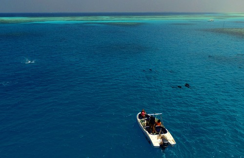 Fihalhohi Island Hotel | Fihalhohi Island Resort