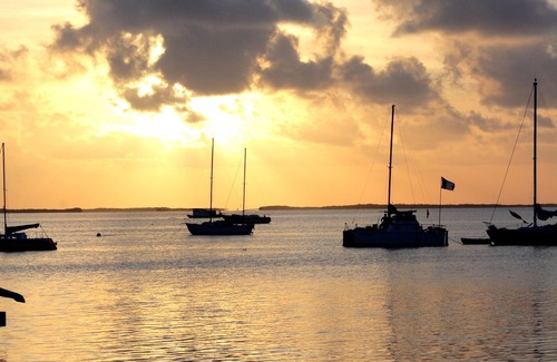 Key Largo Hotel | The Pelican Key Largo Cottages