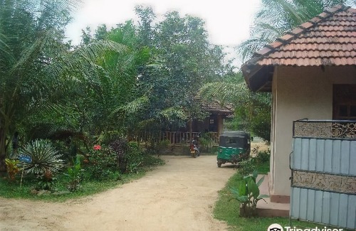 Tangalle Hotel | Green Garden Cabanas
