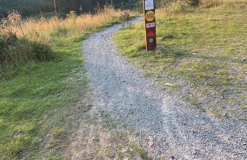 Kinnitty Cabin | Silver Bloom Cabin, a peaceful retreat in Kinnitty’s Slieve Bloom Mountains