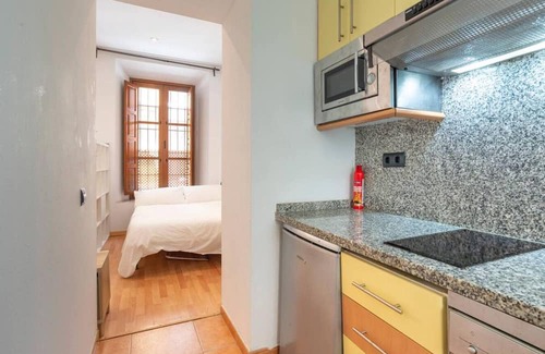 San Felipe Neri Apartment | Chic studio centro malaga