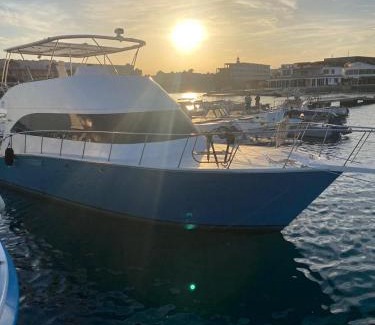 Al Mamsha El Seyahi Boat Rental | Viking