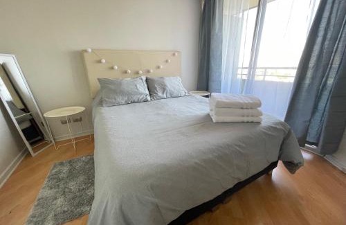 Santiago Apartment | Comfy and great location apartment in providencia