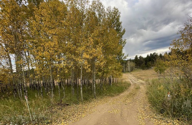 Slice of Wild Heaven: Magical, Cozy, Forest Cabin @ the Top of the World. Views