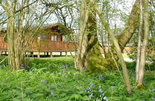 2 Bedroom, Luxury Woodland Lodge (sleeps 4)