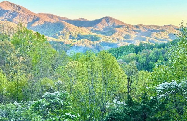 NEW LISTING! Fabulous Mountain Views-The Nut House-Sylva, NC by Sunscape Property Management