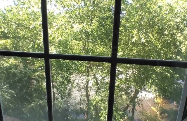 Serene Condo on Neuse River