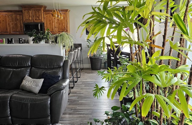 Cozy family friendly 5 bedroom home 10 min drive from Camplex