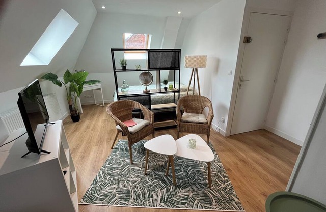 Le Jungle,studio Agréable Dans Copropriété Calme, Entièrement Meublé et Aménagé
