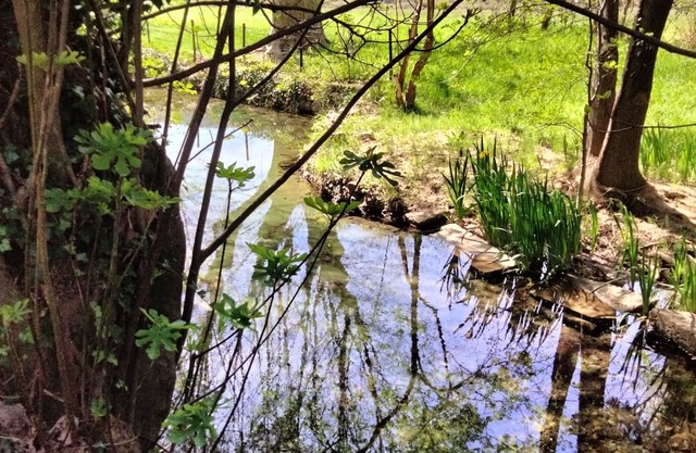La Ruralité en Provence Verte 40 min de la mer Avec Source Ruisseau Oiseaux