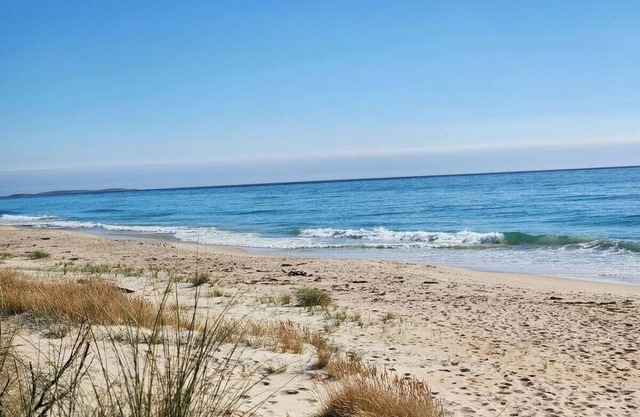 Ocean Breeze - Foodies Delight - Scamander