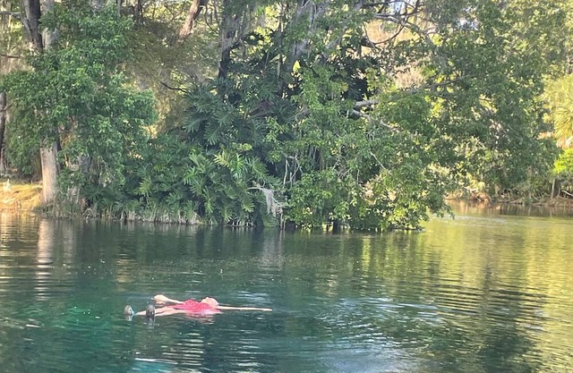 Perfect Kayakers Spot n
