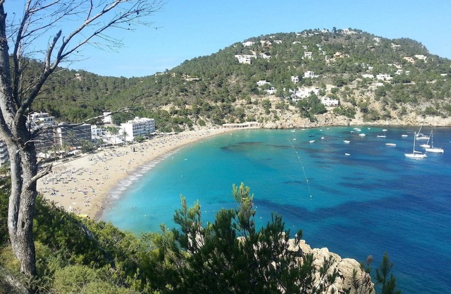 Luxury Private Holiday Villa with Private Pool, Mallorca Villa 1463