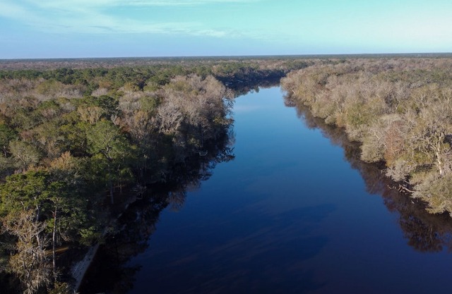 Charming Cabin w/ Dock on the Suwannee River