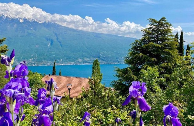 Apartment 'Elisa' with Lake View, Private Terrace and Wi-Fi