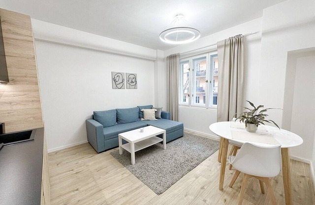 Elegant 2kk Apartment on Biskupcova street, Prague 3